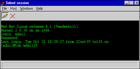 The Telnet client window